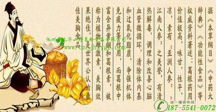葛粉,野葛粉,野生葛根粉,九华山野葛粉,池州市九华山野生葛根粉